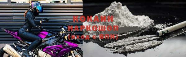 МДПВ Ельня