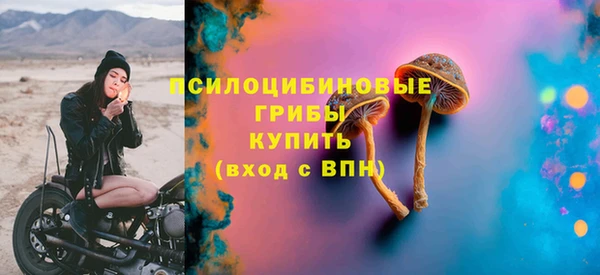 амф Елабуга
