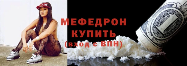 МДПВ Ельня