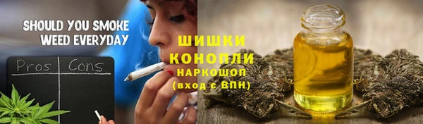 МДПВ Ельня