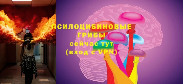 МДПВ Ельня