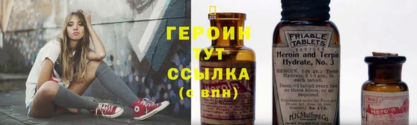 МДПВ Ельня