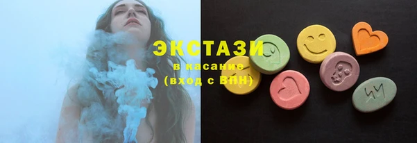 МДПВ Ельня