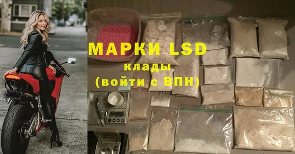 МДПВ Ельня