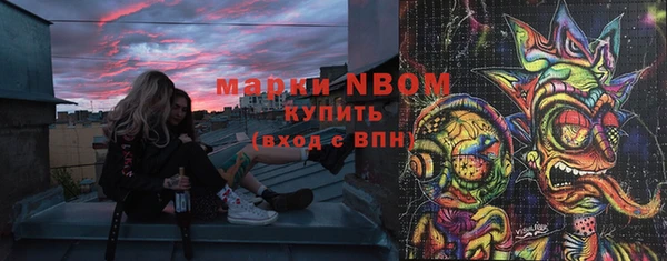 МДПВ Ельня