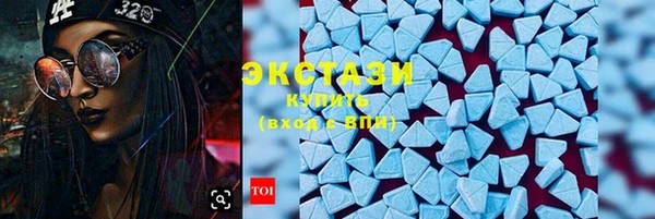 МДПВ Ельня