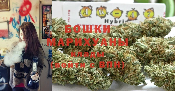 амф Елабуга