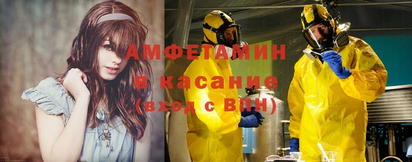 МДПВ Ельня