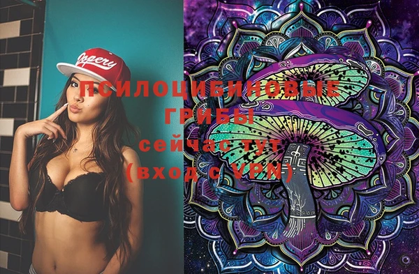 амф Елабуга