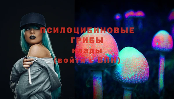 МДПВ Ельня