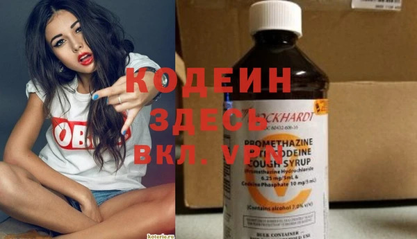 МДПВ Ельня